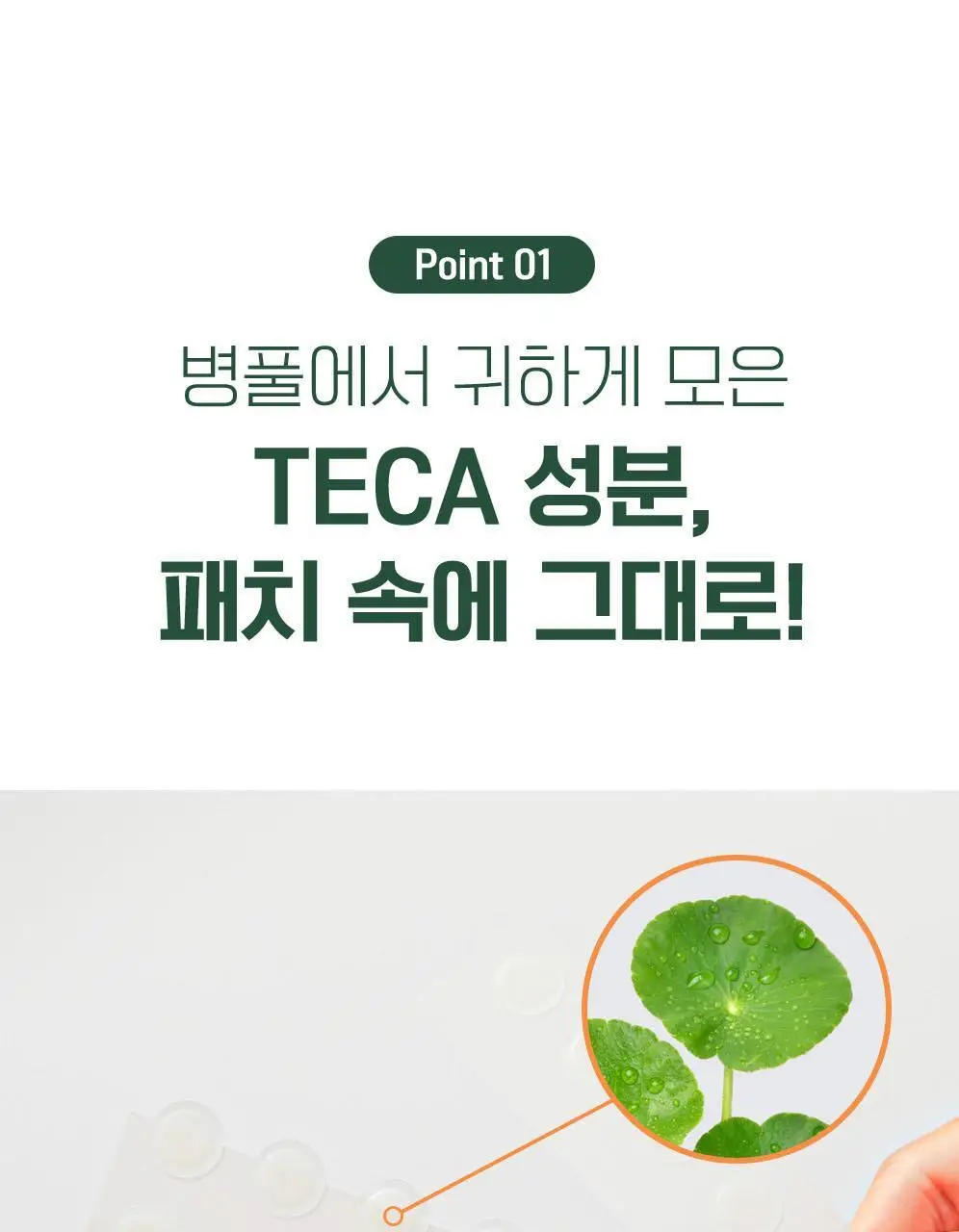 [단독기획] 마데카 메디패치 스팟패치 (33매/99매) 상세페이지 10